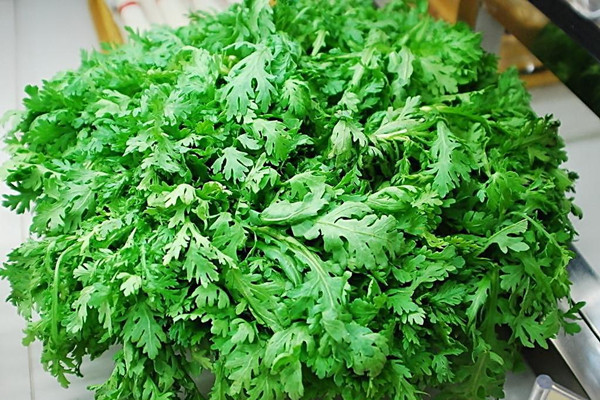 茼蒿的營(yíng)養(yǎng)成分 茼蒿的食用價(jià)值 茼蒿的營(yíng)養(yǎng)成分 茼蒿的食用價(jià)值