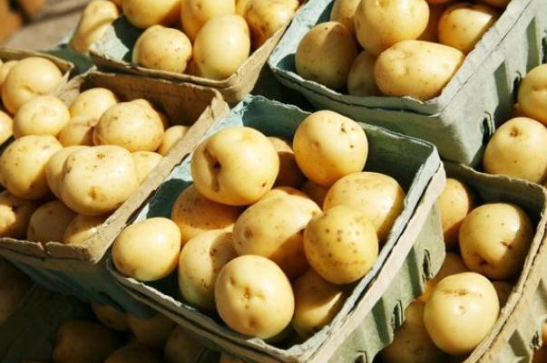 土豆可以和雞蛋一起吃嗎 土豆可以減肥是真的嗎 土豆可以和雞蛋一起吃嗎 土豆可以減肥是真的嗎