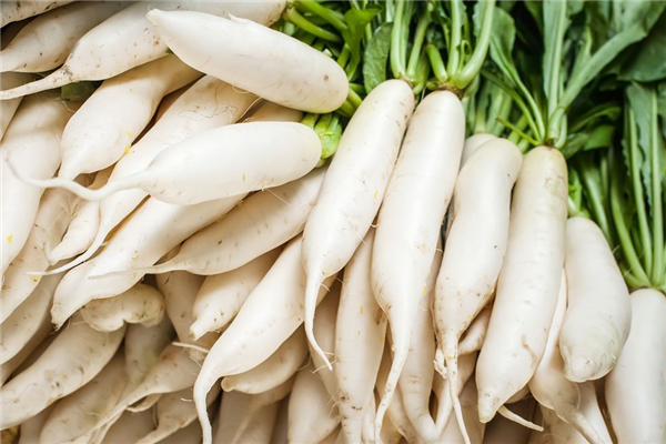 白蘿卜回奶還是催奶 白蘿卜哺乳期能吃嗎 白蘿卜回奶還是催奶 白蘿卜哺乳期能吃嗎