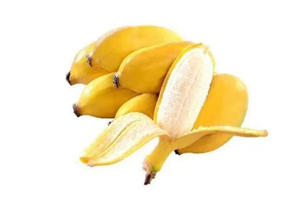 芭蕉可以放冰箱保鮮嗎 芭蕉怎么保存 芭蕉可以放冰箱保鮮嗎 芭蕉怎么保存