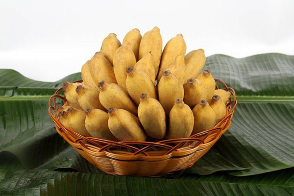 芭蕉有助于減肥嗎 芭蕉能降血壓?jiǎn)? alt=