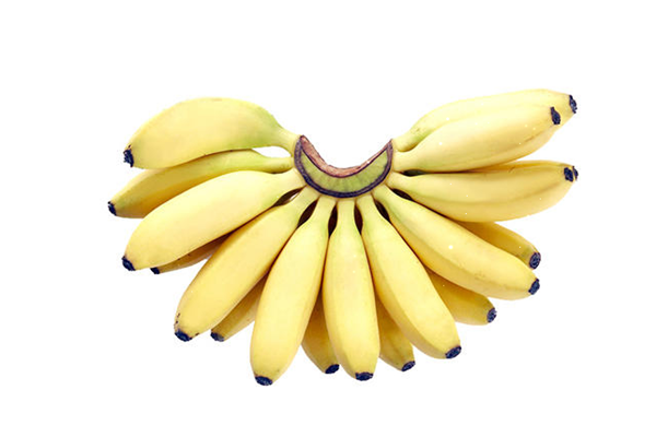 芭蕉適合孕婦吃嗎 孕婦吃芭蕉有什么好處 芭蕉適合孕婦吃嗎 孕婦吃芭蕉有什么好處