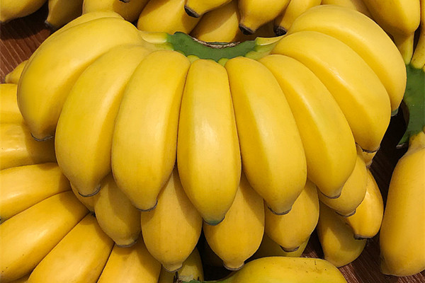 芭蕉適合孕婦吃嗎 孕婦吃芭蕉有什么好處 芭蕉適合孕婦吃嗎 孕婦吃芭蕉有什么好處