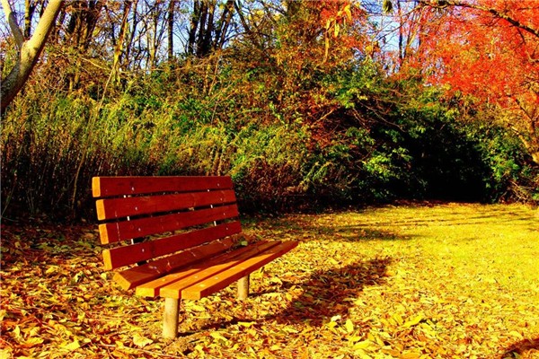 秋天喝什么潤肺去燥 秋天喝什么花茶最好養(yǎng)生 秋天喝什么潤肺去燥 秋天喝什么花茶最好養(yǎng)生