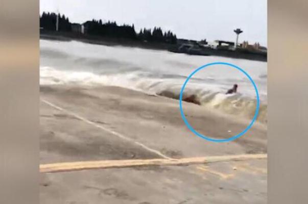 被錢塘江潮水卷走男子確認(rèn)身亡 觀潮時(shí)要注意哪些事項(xiàng) 被錢塘江潮水卷走男子確認(rèn)身亡 觀潮時(shí)要注意哪些事項(xiàng)