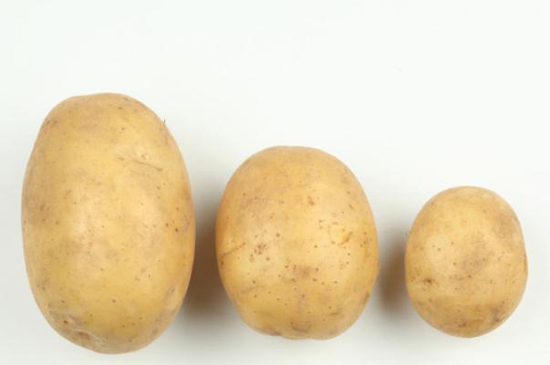 土豆的熱量高嗎 土豆的嘌呤含量高嗎 土豆的熱量高嗎 土豆的嘌呤含量高嗎