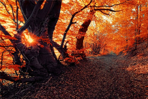 秋天要去濕氣嗎 秋天要多吃什么食物 秋天要去濕氣嗎 秋天要多吃什么食物