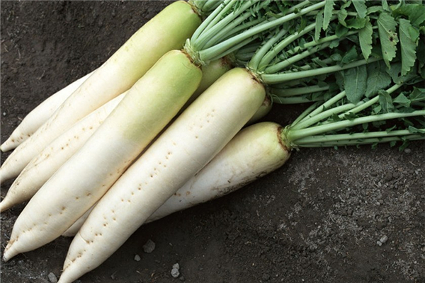 白蘿卜煮水止咳嗎 白蘿卜治咳嗽的做法 白蘿卜煮水止咳嗎 白蘿卜治咳嗽的做法
