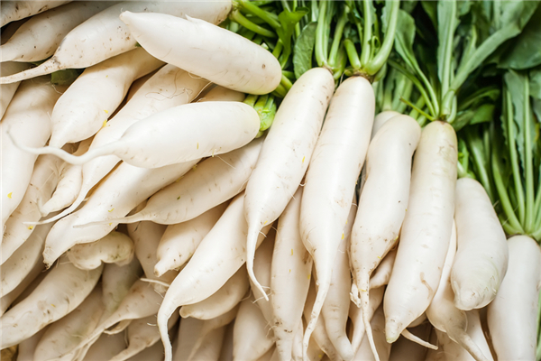 白蘿卜會引起寶寶脹氣嗎 白蘿卜怎么給寶寶做輔食 白蘿卜會引起寶寶脹氣嗎 白蘿卜怎么給寶寶做輔食