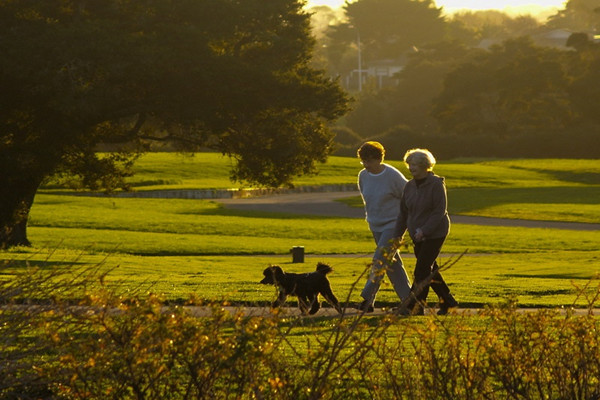 散步會(huì)傷害膝蓋嗎 散步會(huì)影響血壓?jiǎn)? alt=