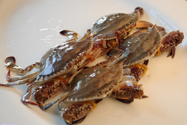 梭子蟹怎么清洗 梭子蟹什么人不宜吃 梭子蟹怎么清洗 梭子蟹什么人不宜吃