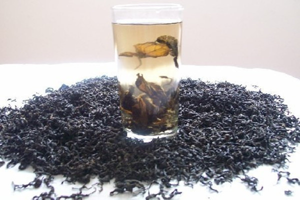 杜仲茶可以降血壓嗎 杜仲茶可以降血脂嗎 杜仲茶可以降血壓嗎 杜仲茶可以降血脂嗎