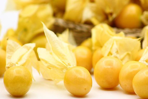 姑娘果會(huì)不會(huì)上火 姑娘果會(huì)不會(huì)過(guò)敏 姑娘果會(huì)不會(huì)上火 姑娘果會(huì)不會(huì)過(guò)敏