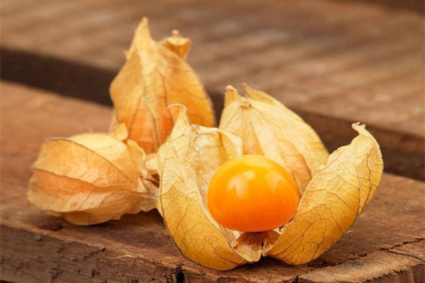 姑娘果寶寶能吃嗎 姑娘果寶寶能吃多少 姑娘果寶寶能吃嗎 姑娘果寶寶能吃多少