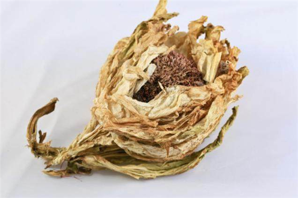 天山雪蓮可以直接生吃嗎 天山雪蓮最好的食用方法是什么 天山雪蓮可以直接生吃嗎 天山雪蓮最好的食用方法是什么