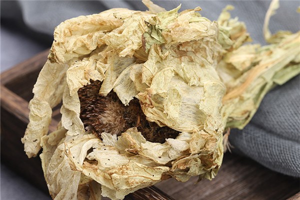 天山雪蓮有什么之稱 天山雪蓮在什么地方生長的 天山雪蓮有什么之稱 天山雪蓮在什么地方生長的