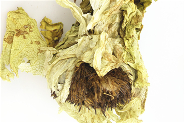 天山雪蓮有什么之稱 天山雪蓮在什么地方生長的 天山雪蓮有什么之稱 天山雪蓮在什么地方生長的