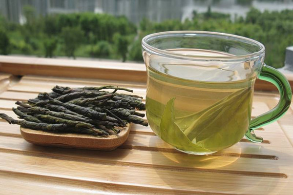 苦丁茶是涼性還是熱性 苦丁茶產(chǎn)自哪里 苦丁茶是涼性還是熱性 苦丁茶產(chǎn)自哪里