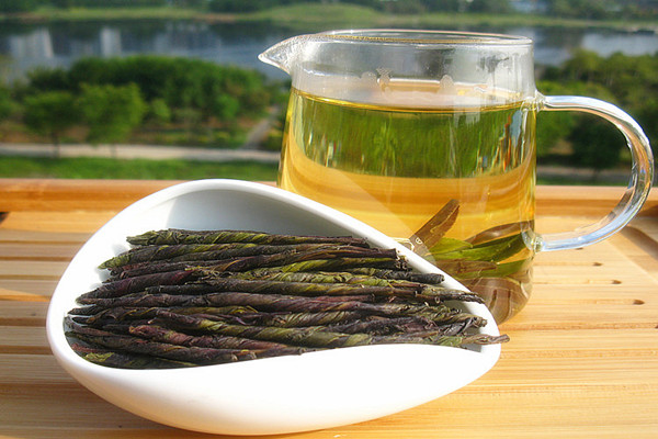 怎么挑選苦丁茶 苦丁茶怎么保存 怎么挑選苦丁茶 苦丁茶怎么保存