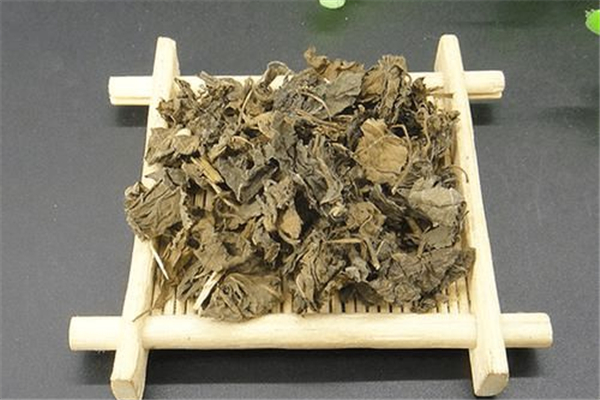 紫蘇葉可以用來(lái)泡澡嗎 紫蘇葉泡澡用新鮮的還是干的 紫蘇葉可以用來(lái)泡澡嗎 紫蘇葉泡澡用新鮮的還是干的