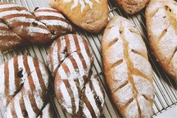 歐包為什么那么硬 歐包太硬了怎么辦 歐包為什么那么硬 歐包太硬了怎么辦