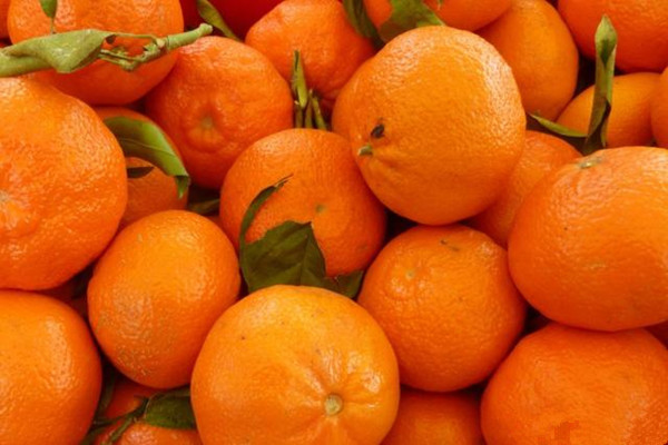 橘子適合什么人群吃 橘子不適合什么人吃 橘子適合什么人群吃 橘子不適合什么人吃