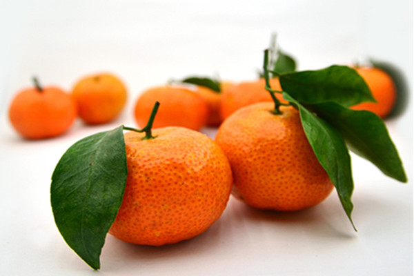 吃橘子防癌嗎 吃橘子緩解孕吐嗎 吃橘子防癌嗎 吃橘子緩解孕吐嗎