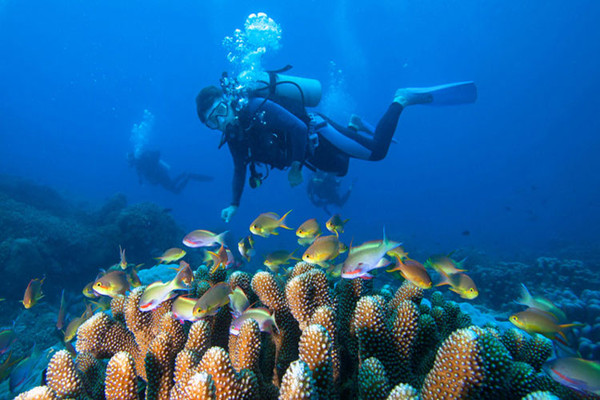 潛水有年齡限制嗎 潛水會導(dǎo)致中耳炎嗎