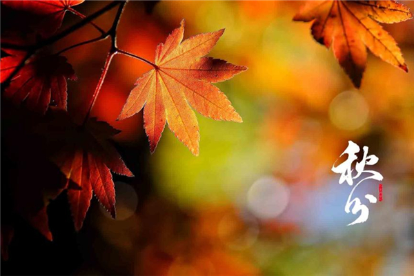 秋分還熱不熱 秋分會(huì)涼快嗎 秋分還熱不熱 秋分會(huì)涼快嗎