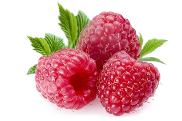 覆盆子有什么功效 覆盆子有副作用嗎 覆盆子有什么功效 覆盆子有副作用嗎