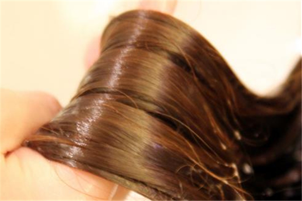 雞蛋護(hù)發(fā)真的有用嗎 雞蛋護(hù)發(fā)用蛋白還是蛋黃 雞蛋護(hù)發(fā)真的有用嗎 雞蛋護(hù)發(fā)用蛋白還是蛋黃