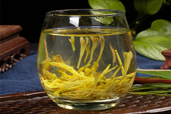 金銀花茶可以和枸杞一起喝嗎 金銀花茶可以和菊花茶一起泡嗎 金銀花茶可以和枸杞一起喝嗎 金銀花茶可以和菊花茶一起泡嗎