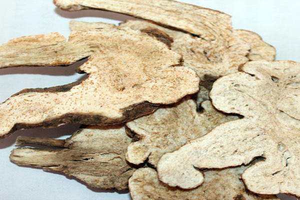 白術會引起過敏嗎 白術會引起腹瀉嗎 白術會引起過敏嗎 白術會引起腹瀉嗎