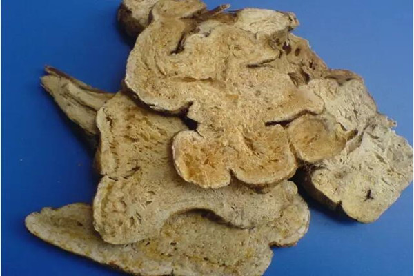 白術什么人不能吃 白術適合什么人吃 白術什么人不能吃 白術適合什么人吃