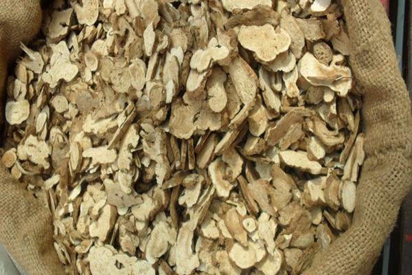 白術什么人不能吃 白術適合什么人吃 白術什么人不能吃 白術適合什么人吃