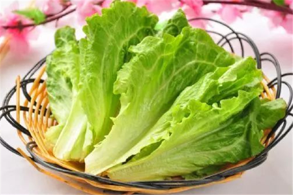 生菜洗干凈了可以直接吃嗎 生菜洗了隔夜還能吃嗎 生菜洗干凈了可以直接吃嗎 生菜洗了隔夜還能吃嗎