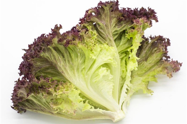 生菜怎么清洗才干凈 生菜有農(nóng)藥殘留嗎 生菜怎么清洗才干凈 生菜有農(nóng)藥殘留嗎