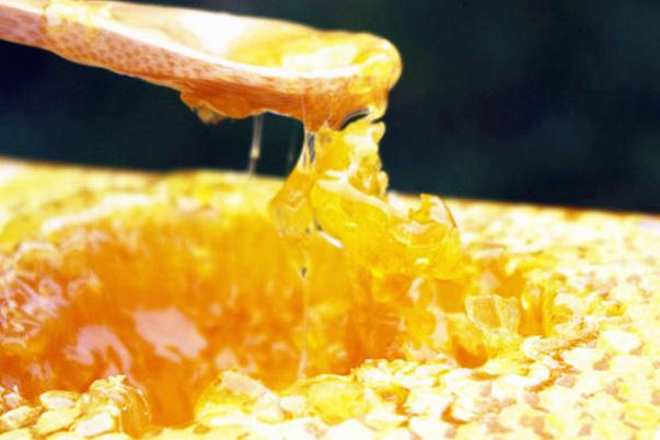 蜂巢蜜的保質(zhì)期一般是多久 蜂巢蜜的真假怎么辨別 蜂巢蜜的保質(zhì)期一般是多久 蜂巢蜜的真假怎么辨別
