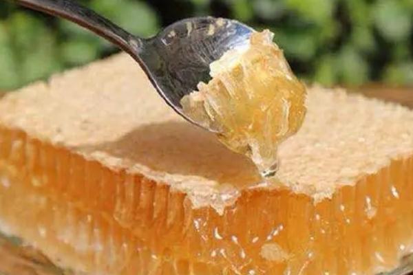 蜂巢蜜的保質(zhì)期一般是多久 蜂巢蜜的真假怎么辨別 蜂巢蜜的保質(zhì)期一般是多久 蜂巢蜜的真假怎么辨別