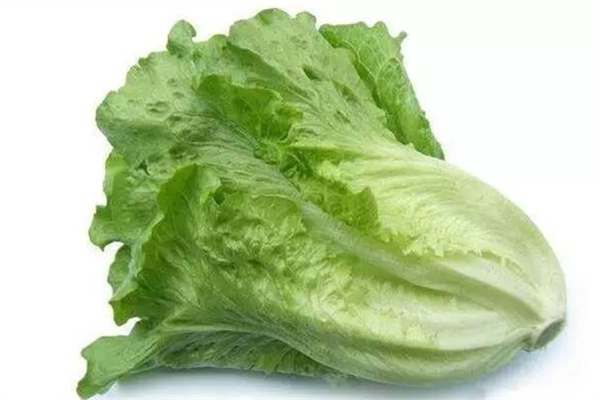 生菜洗的時(shí)候?yàn)槭裁磿?huì)滑 生菜洗的時(shí)候很多泡沫能吃嗎 生菜洗的時(shí)候?yàn)槭裁磿?huì)滑 生菜洗的時(shí)候很多泡沫能吃嗎