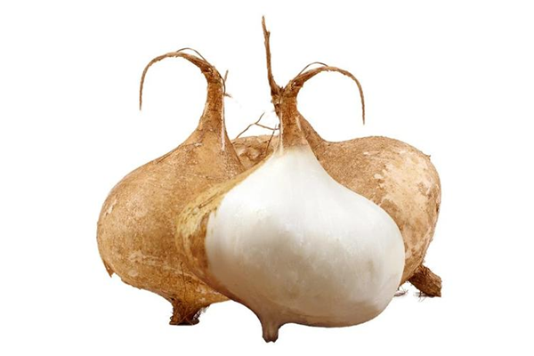 涼薯的熱量高不高 涼薯減肥期可以吃嗎 涼薯的熱量高不高 涼薯減肥期可以吃嗎