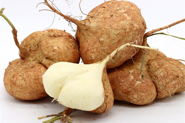 涼薯能空腹吃嗎 吃涼薯的好處 涼薯能空腹吃嗎 吃涼薯的好處