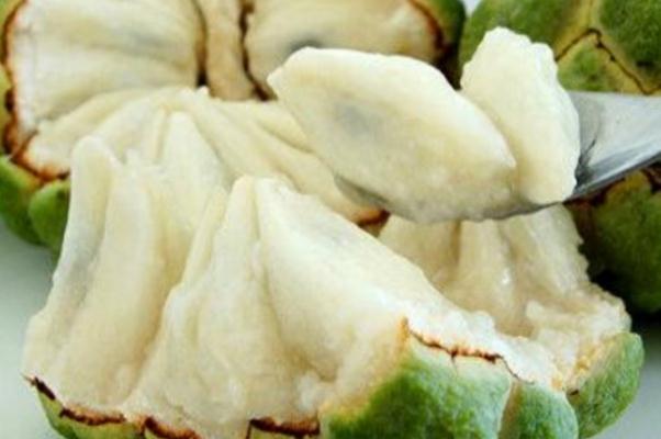 釋迦果的功效與作用 釋迦果的吃法 釋迦果的功效與作用 釋迦果的吃法