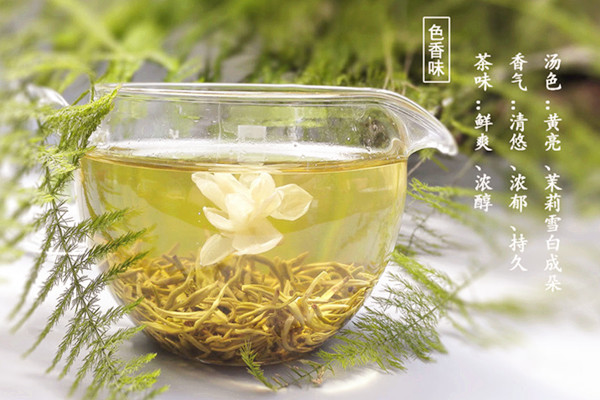 茉莉花茶可以和菊花一起泡嗎 茉莉花茶可以和玫瑰花一起泡嗎 茉莉花茶可以和菊花一起泡嗎 茉莉花茶可以和玫瑰花一起泡嗎