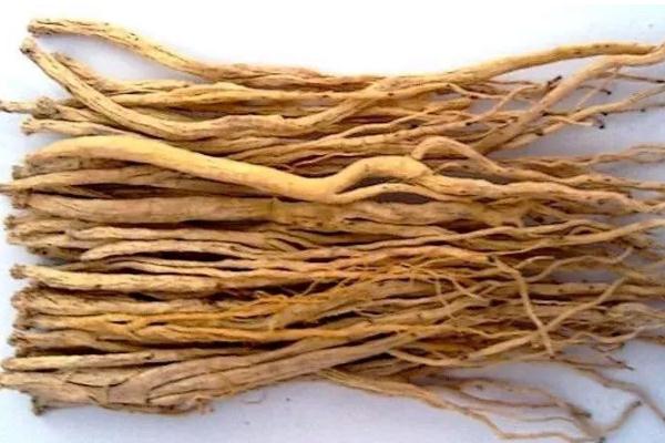 黨參會(huì)升高血糖嗎 黨參會(huì)不會(huì)引起失眠 黨參會(huì)升高血糖嗎 黨參會(huì)不會(huì)引起失眠