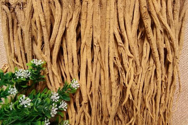 黨參會不會上火 黨參會回奶嗎 黨參會不會上火 黨參會回奶嗎