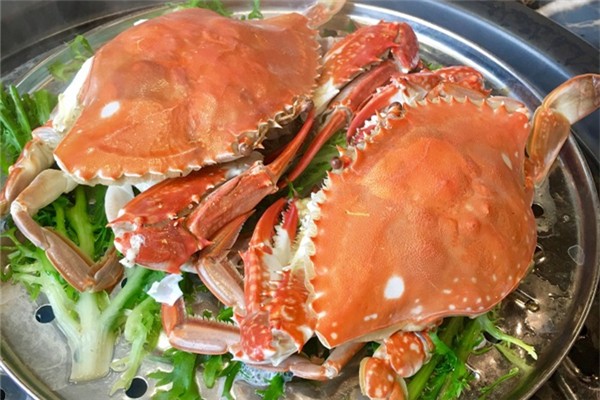 梭子蟹會痛風(fēng)嗎 梭子蟹不適合什么人吃 梭子蟹會痛風(fēng)嗎 梭子蟹不適合什么人吃