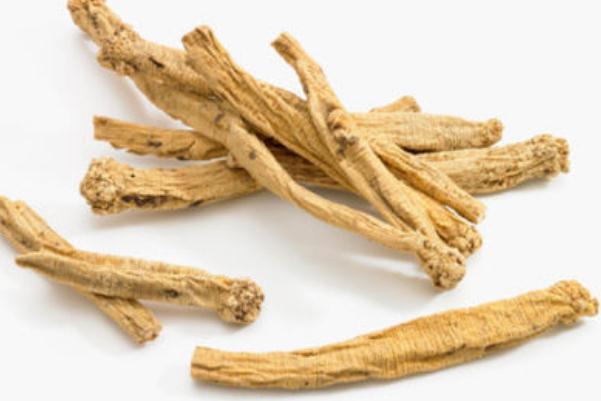 黨參要蒸熟要多少時間 黨參為什么要蒸熟后用 黨參要蒸熟要多少時間 黨參為什么要蒸熟后用