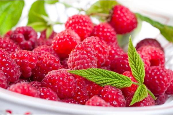 樹莓是覆盆子嗎 樹莓是熱性還是涼性 樹莓是覆盆子嗎 樹莓是熱性還是涼性