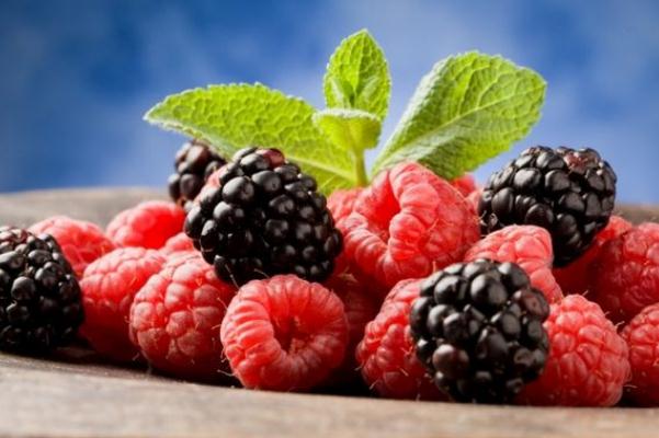 樹莓對身體有什么好處 樹莓對孕婦有什么好處 樹莓對身體有什么好處 樹莓對孕婦有什么好處